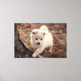 Bonita Adorável Fluffy Snowball Puppy Cão Canvas A