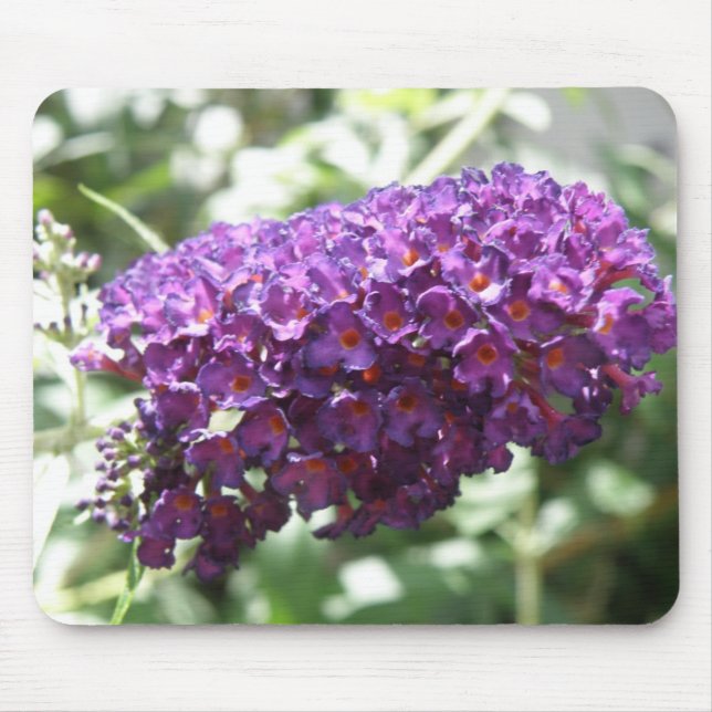 Bonita Budleia Flores Mousepad (Frente)