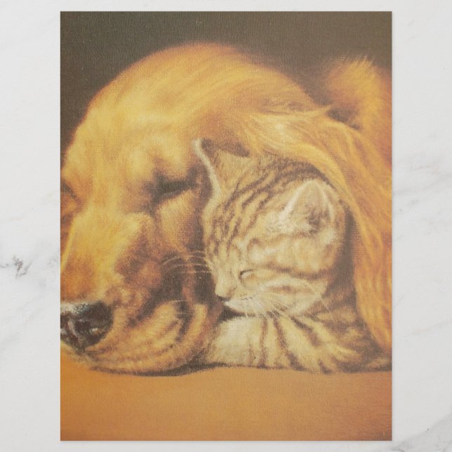 Bonita Impressão de Arte de Cachorro e Gato Incrív (Frente)
