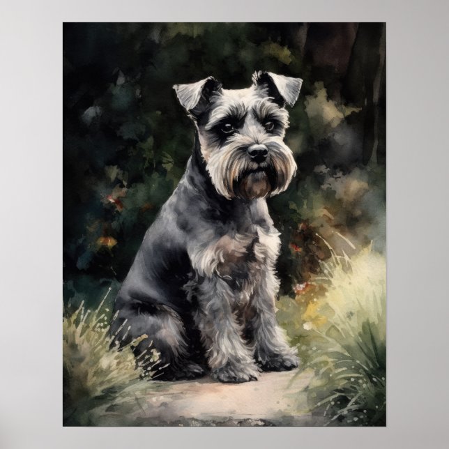 Bonita miniatura Schnauzer Cão Impressão (Frente)
