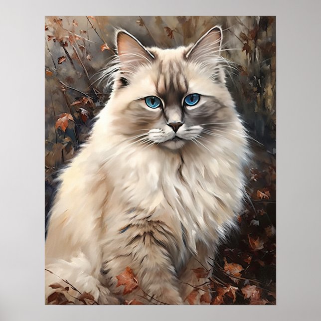 Bonita Ragdoll Cat Art Impressão Poster (Frente)
