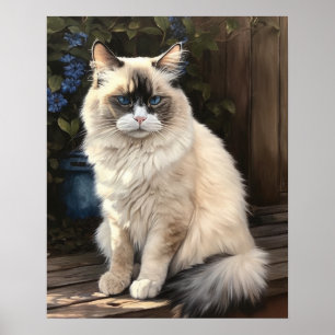 Bonita Ragdoll Cat Art Impressão Poster