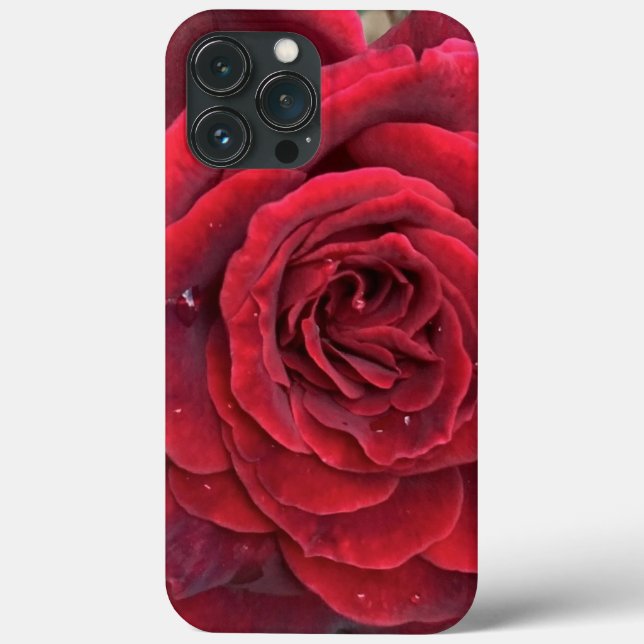 Bonita rosa vermelha iphone 13 Pro Max case (Verso)