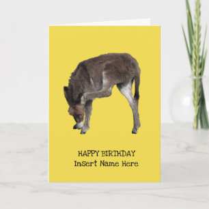 Bonitinho Burro, Modelo