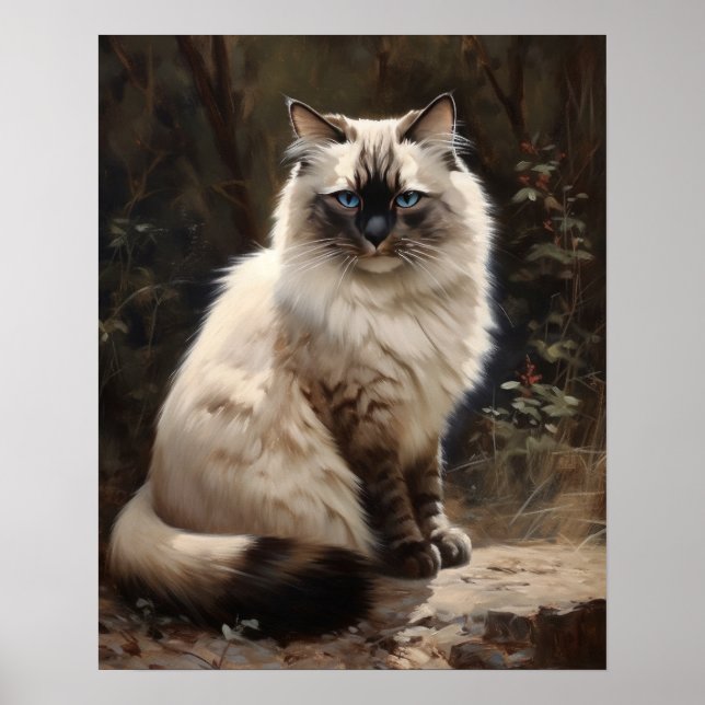 Bonito Birman Cat Art Impressão Poster (Frente)