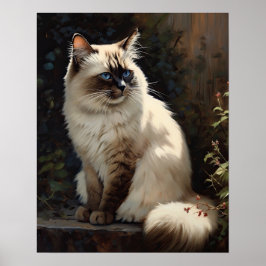 Bonito Birman Cat Art Impressão Poster
