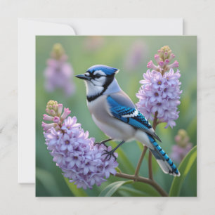Bonito Blue Jay em pé nas filiais do Lilac