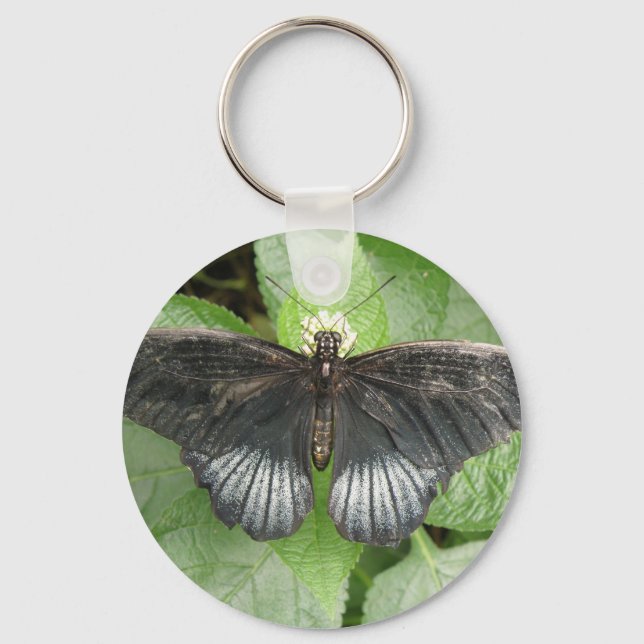 Bonito borboleta tropical e Chaveiro de flores (Frente)