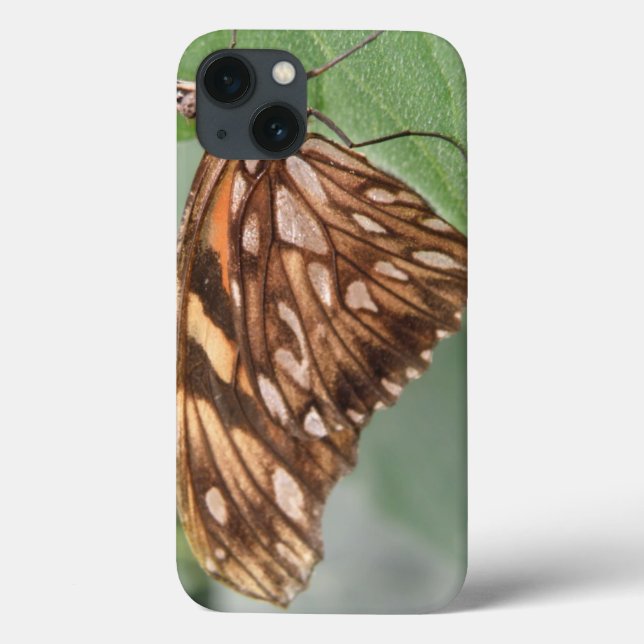 Bonito caixa iPad de borboleta castanha (Verso)