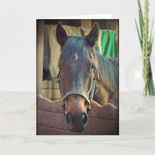 Bonito Cavalo e Cartão de Saudação Estável
