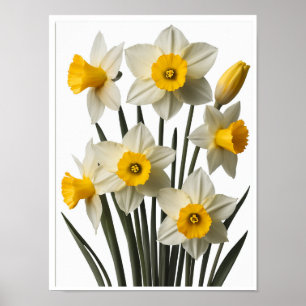 Bonito Daffodil Flowers Poster Wall Decor
