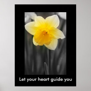 Bonito daffodil, Papel Poster de Valor (Matte)