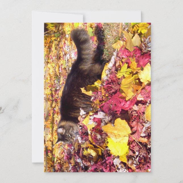 Bonito Engraçado Maine Coon Inspeção Folha (Frente)