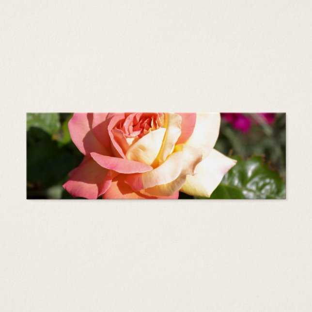 Bonito flor rosa e rosa amarela. Floral (Frente)