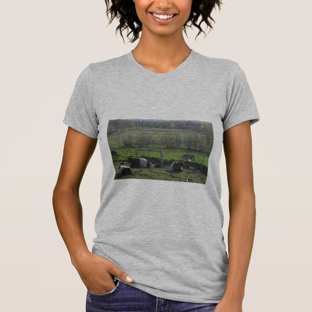 Bonito Herd de Belties Relaxando T-Shirt (Frente)