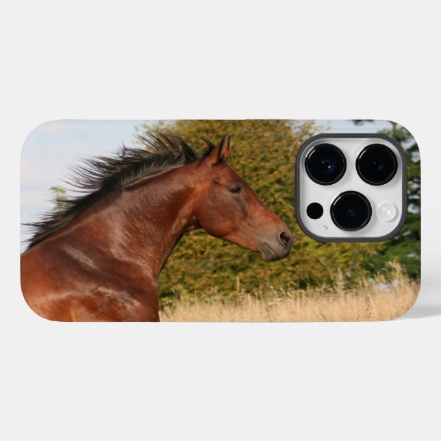 Bonito iPhone/iPad Horse (Verso (horizontal))