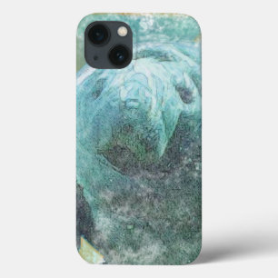 Bonito Manatee Art