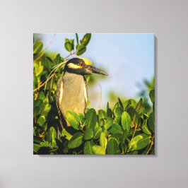 BONITO MOMENTO NO TEMPO 24 X 24 CANVAS PRINT