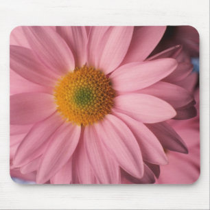 Bonito na margarida cor-de-rosa Mousepad