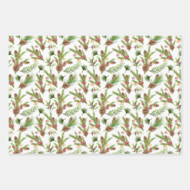 Bonito Pine Cones e Botânica