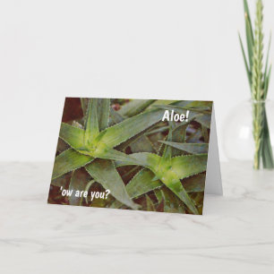 Bonito Pun Cactus Aloe Olá Pensando em seu Cartão
