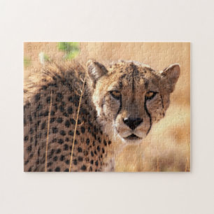 Bonito Retrato Cheetah, Quebra-cabeça de Jigsaw