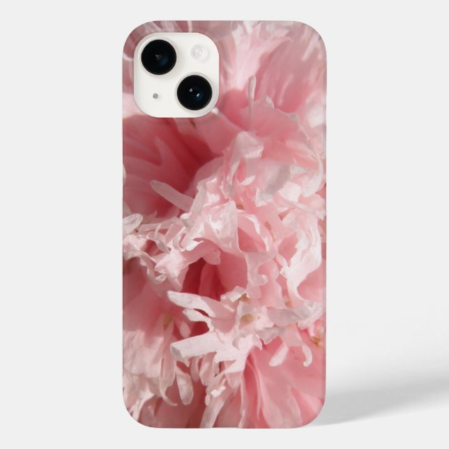 Bonito rosa pálido (Verso)