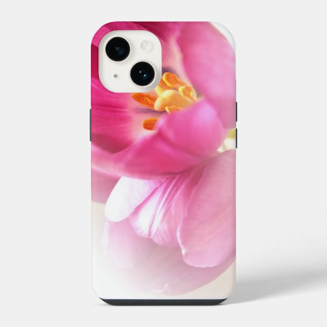 Bonito Tulipas Rosa (Verso)