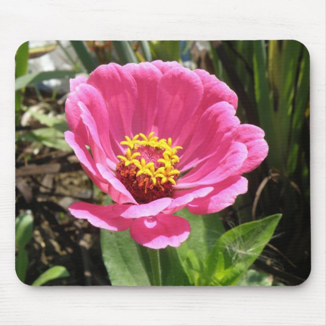 Bonito Zinnia Mousepad Rosa (Frente)