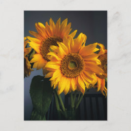 Bonitos girassóis no cartão postal Vase