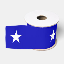 Bonnie Blue Flag