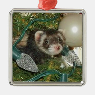 Bonnie nos enfeites de natal da árvore