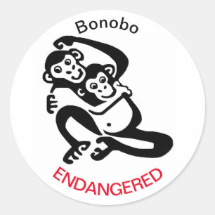BONOBO - Autocolantes