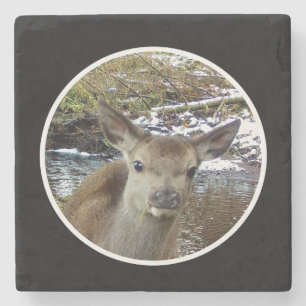 Bons veados para a Porta copos de pedra da câmera