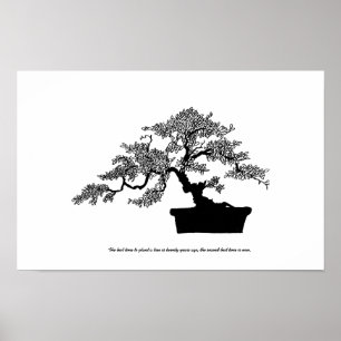Bonsai Poster com texto