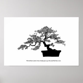 Bonsai Poster com texto