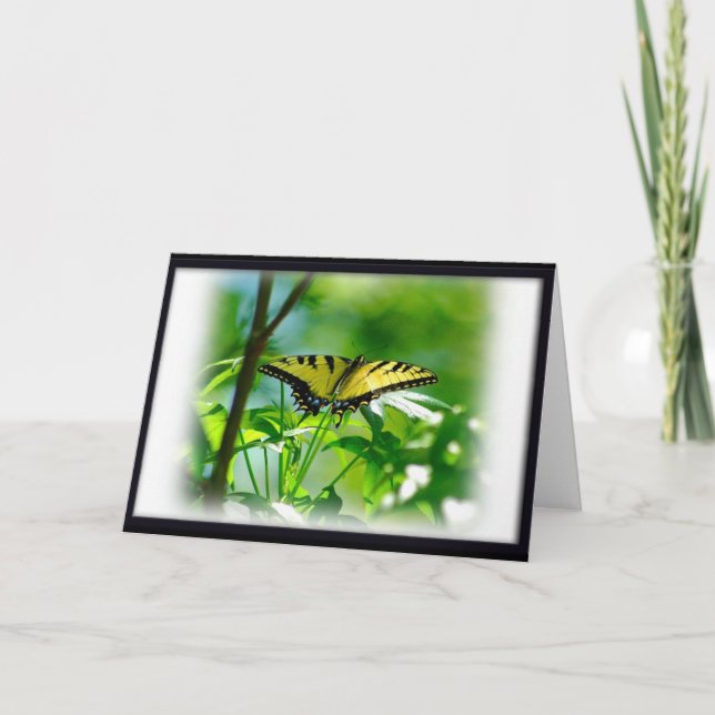 Borboleta Adquira Bem Cartão (Frente)