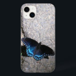 Borboleta Almirante Vermelha<br><div class="desc">Uma borboleta do Almirante Vermelho atinge uma pose num feixe de luz solar sobre isto completamente personalizável.</div>