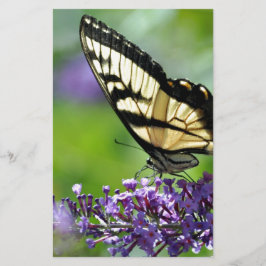Borboleta Amarela e Preta sobre Lavanda