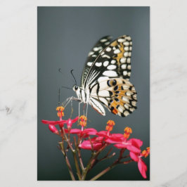 Borboleta Amarela Preta e Branca em Flores Rosas