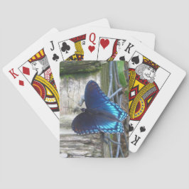 Borboleta Azul em Repouso sobre Cartas de Baralho