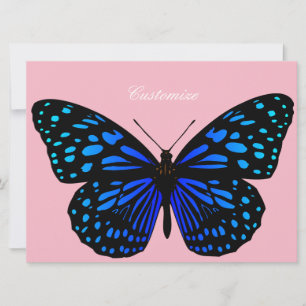 Borboleta azul Thunder_Cove