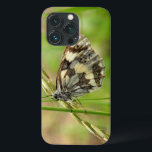 Borboleta branca marmoreada na grama<br><div class="desc">Borboleta branca marmoreada na grama. Artigos de harmonização disponíveis em nossa loja.</div>