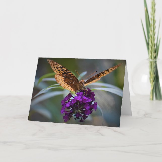 Borboleta, cartão (Frente)