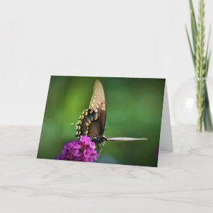 Borboleta, cartão