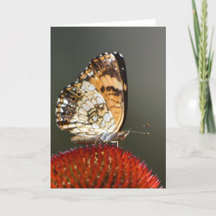Borboleta, cartão