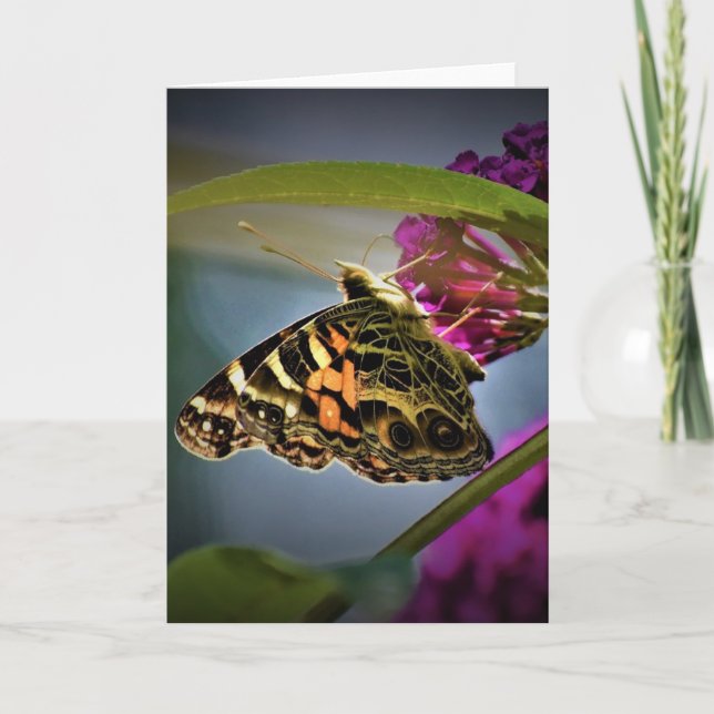 Borboleta, cartão (Frente)