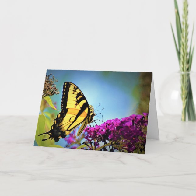 Borboleta, cartão (Frente)
