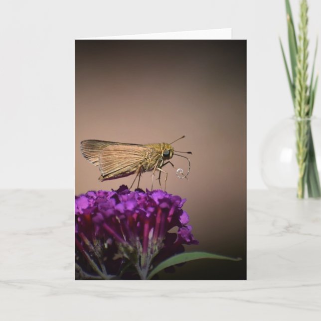 Borboleta, cartão (Frente)