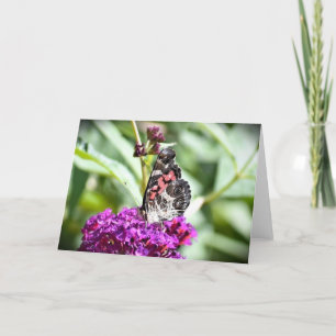 Borboleta, cartão